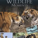 BBC Great Wildlife Moments
