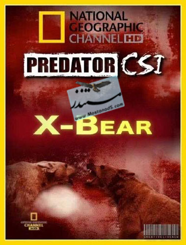 National Geographic - Predator CSI X-Bear