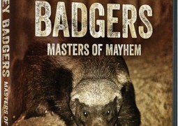 مستند Honey Badgers: Masters of Mayhem