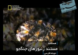 مستند زنبورهای جنگجو (دوبله فارسی)