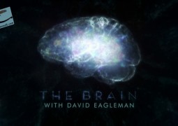 مغز با دیوید ایگلمن (۲۰۱۵)