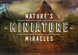 معجزه های مینیاتوری طبیعت (۲۰۱۷)