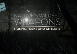 وحشی ترین سلاح های طبیعت (۲۰۱۷)