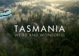 تاسمانیا: عجیب و شگفت انگیز (۲۰۱۹)