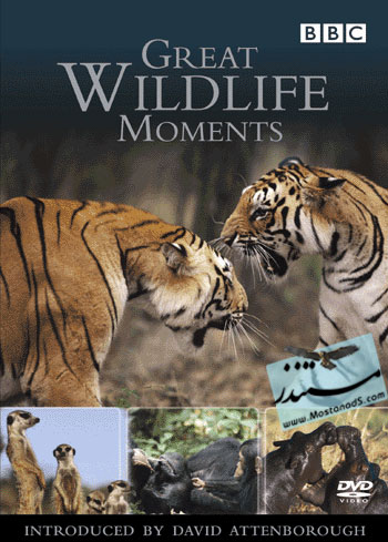 BBC Great Wildlife Moments