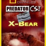 National Geographic - Predator CSI X-Bear