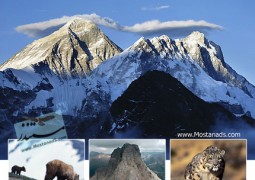 سیاره زمین : کوه ها