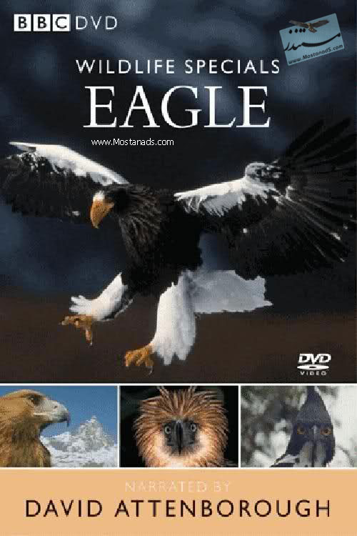 BBC - Wildlife Specials - Eagle 1997