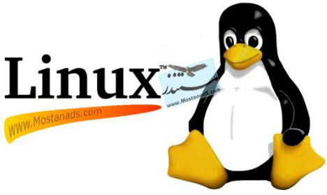 Revolution OS: The Linux Story