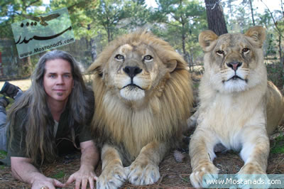 BBC - Wildlife Specials - Lions 2000