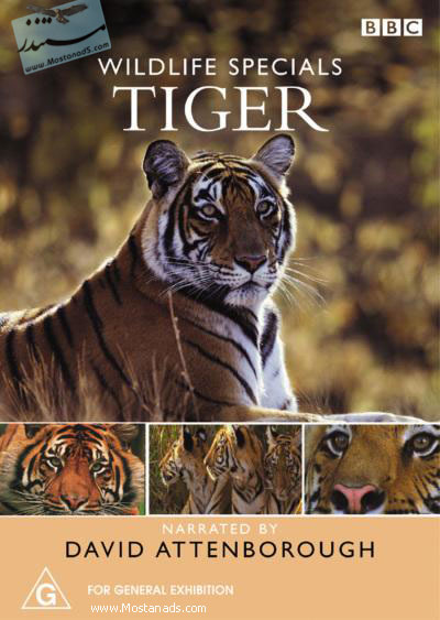 BBC - Wildlife Specials - Tiger 1999