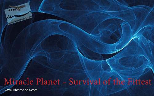 Miracle Planet - Survival of the Fittest