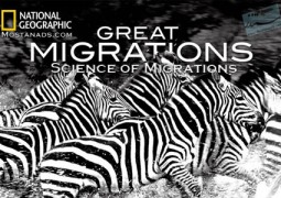 مهاجرت های بزرگ: علم مهاجرت بزرگ