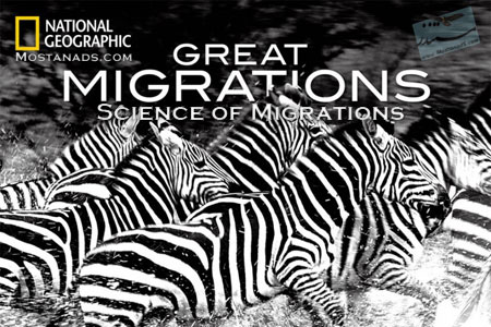 Great Migrations: Science of Great Migrations