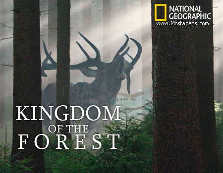 National Geographic – Kingdom of the Forest (2010)