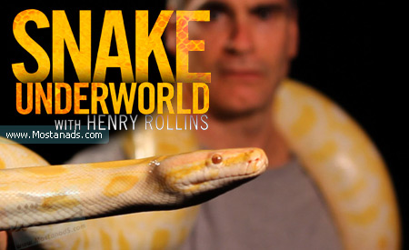 National Geographic - Wild Snake Underworld