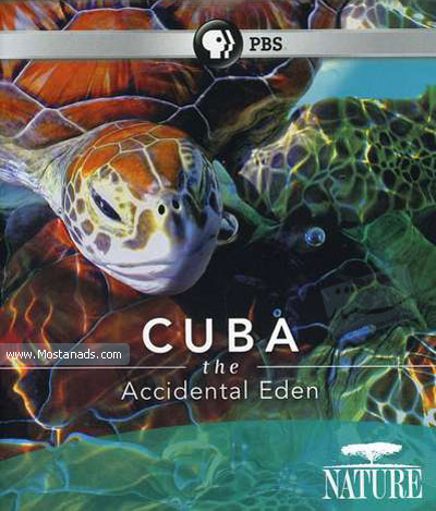 Cuba: The Accidental Eden