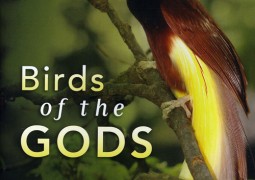 Birds of the Gods
