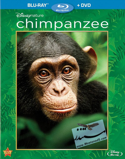 Chimpanzee (2012)