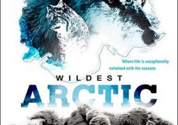 مستند حیات وحش در قطب شمال