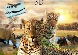 حیات وحش جنوب آفریقا