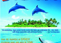 Dolphins – دلفین ها
