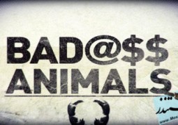 مستند Wild: Badass Animals