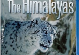 هیمالیا – NATURE: Himalayas