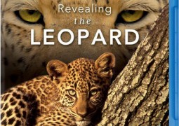 فاش کردن دنیای پلنگ ها – Nature: Revealing the Leopard
