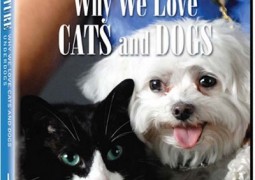مستند Why We Love Cats and Dogs