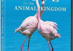 عشق در پادشاهی حیوانات