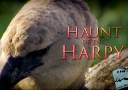 مستند Haunt of the Harpy