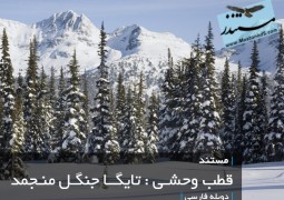 تایگا جنگل منجمد (دوبله فارسی)