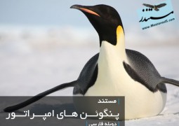 پنگوئن امپراطور (دوبله فارسی)
