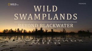 Beyond Blackwater