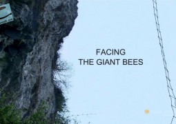 مواجهه با زنبورهای عظیم