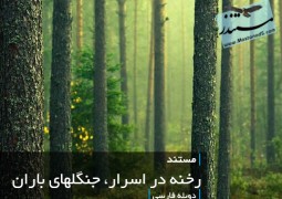 رخنه در اسرار-جنگلهای باران(دوبله فارسی)