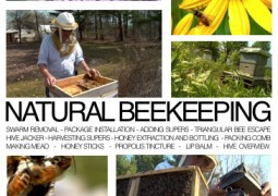 زنبورداری طبیعی (۲۰۱۳)