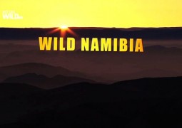 حیات وحش نامیبیا (۲۰۱۴)