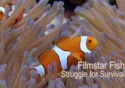 ماهی، ستاره فیلم: تلاش برای بقا (۲۰۱۱)