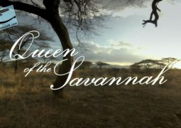 ملکه ساوانا (۲۰۱۲)