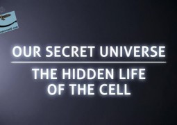 جهان اسرارآمیز ما: زندگی پنهان یک سلول (۲۰۱۲)