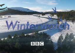نگهبانی زمستان (۲۰۱۵)