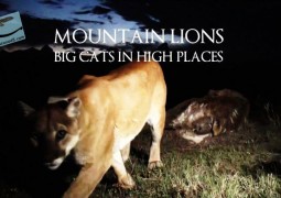 شیر کوهستان: گربه سانان بزرگ در سرزمین های مرتفع (۲۰۱۵)