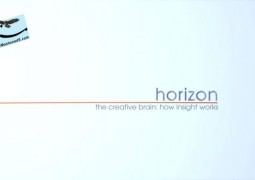 مغز خلاق: ادراک چگونه است (۲۰۱۳)