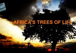 درختان زندگی آفریقا (۲۰۱۶)