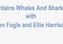 نهنگ ها و کوسه های بریتانیا (۲۰۱۶)