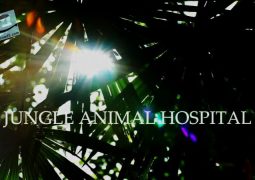 بیمارستان حیوانات جنگل (۲۰۱۶)