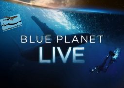 سیاره آبی زنده (۲۰۱۹)
